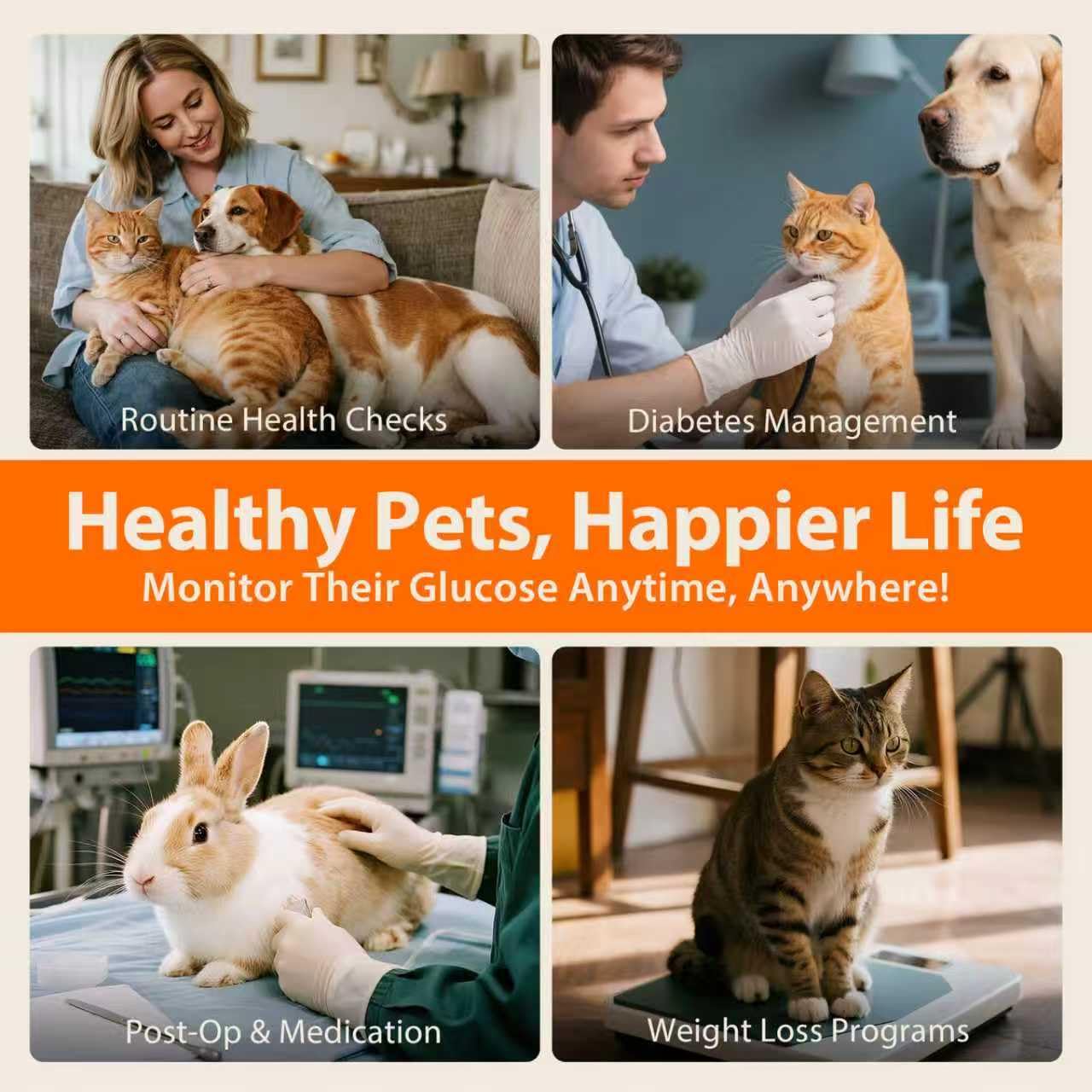 PAWDIAG is ideal for households with multiple pets.
