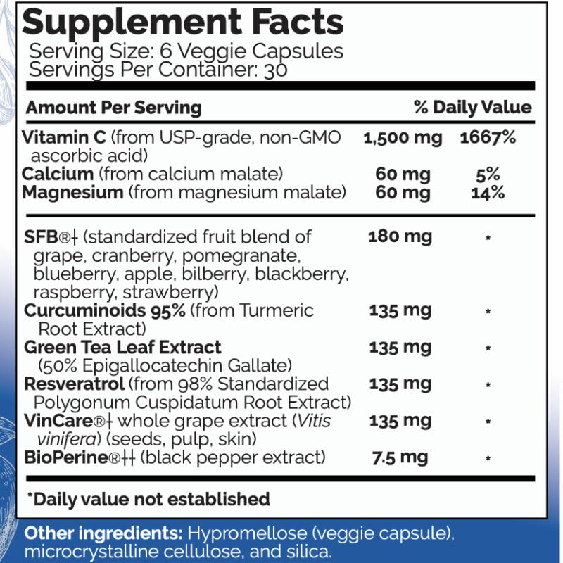 Ingredients chart for ULTIMATE PROTECTOR+ with blends from 12+ fruits and vegetables