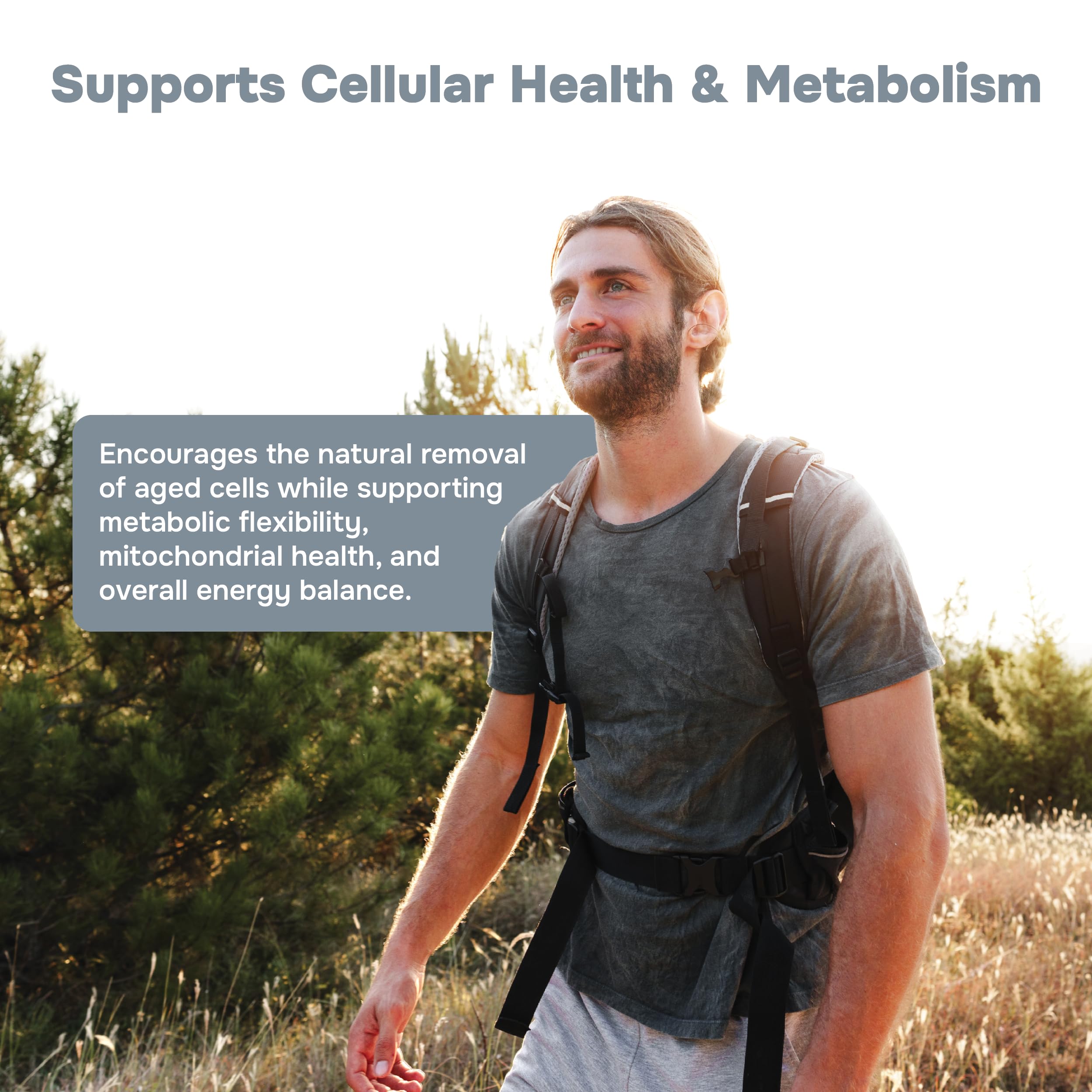 Peak Human Fasting Pro NAD supplement facts sheet shows blend