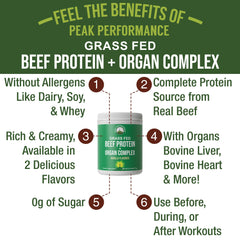 Peak Performance organ complex bottle highlights nutrient-dense ingredients for workouts.