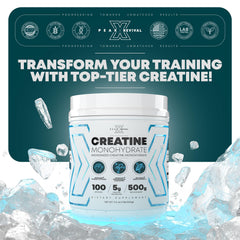 Peak Revival-X closeup of micronized powder texture