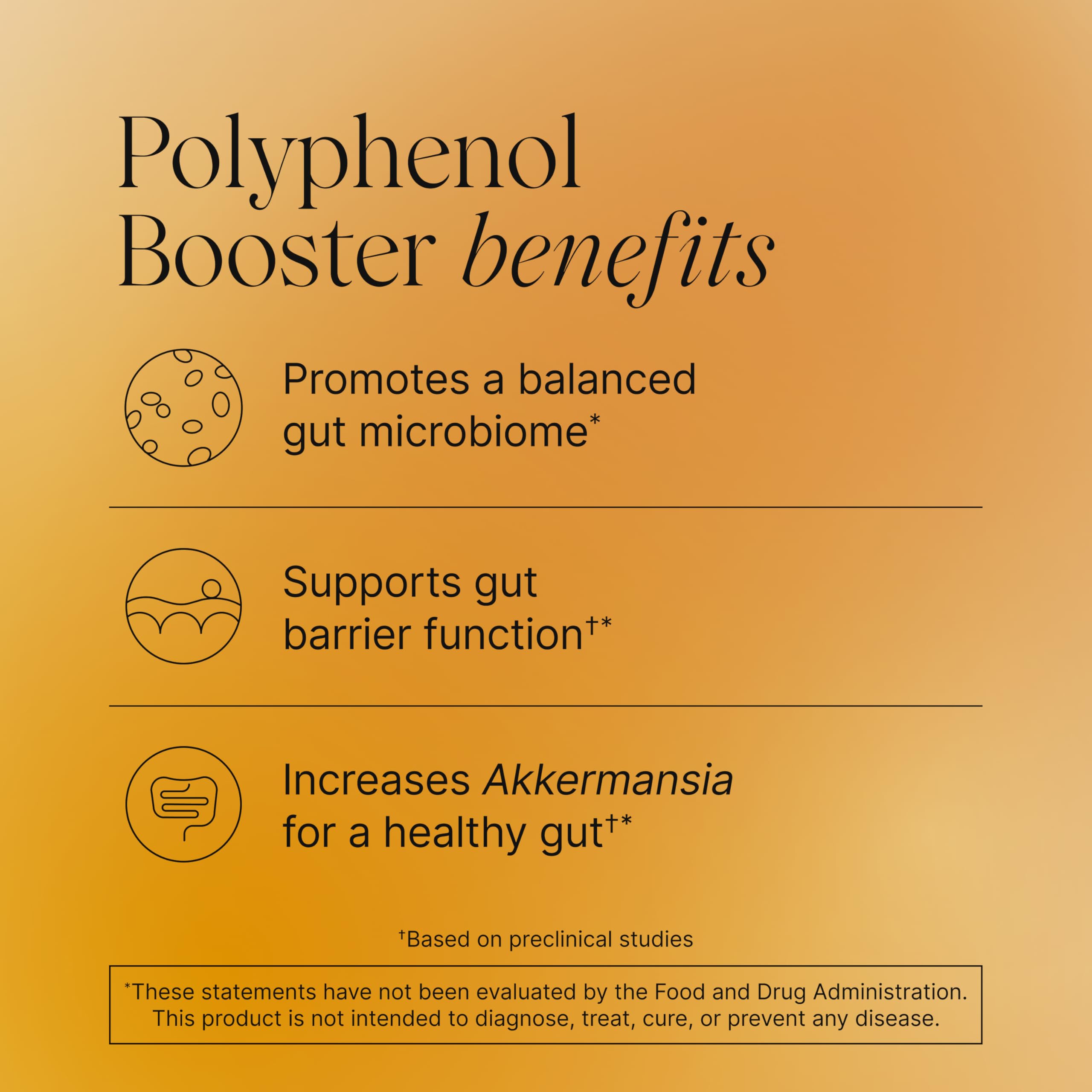Pendulum Polyphenol Booster capsules ready for daily supplementation and gut balance.