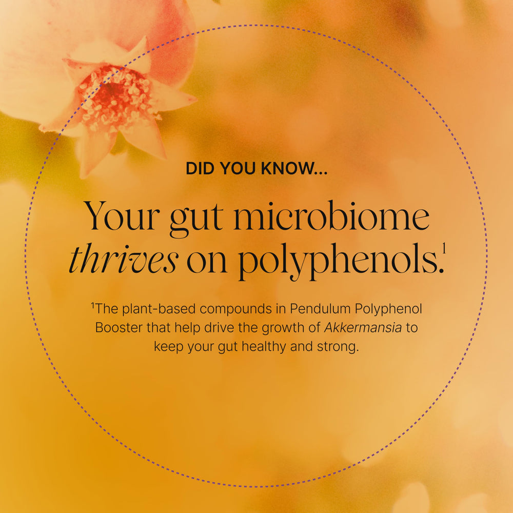 Pendulum Polyphenol Booster on kitchen counter with morning routine context.