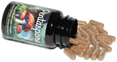 Pentaspore mushroom varieties image illustrating the five functional mushrooms.