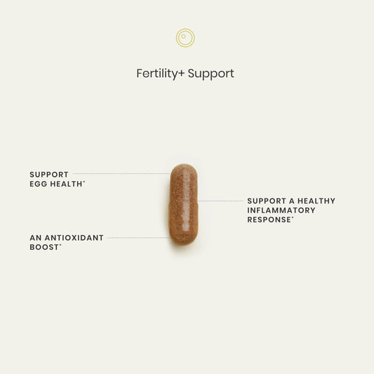 Perelel Fertility Support capsules close-up highlighting NAC and CoQ10 in a vegetarian formula