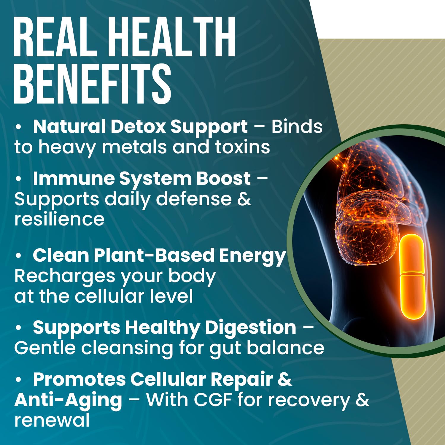 Perfect Supplements chlorella capsules lifestyle photo — plant-based protein support