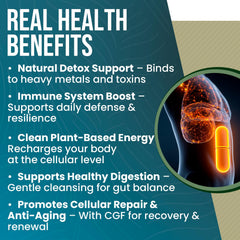 Perfect Supplements chlorella capsules lifestyle photo — plant-based protein support