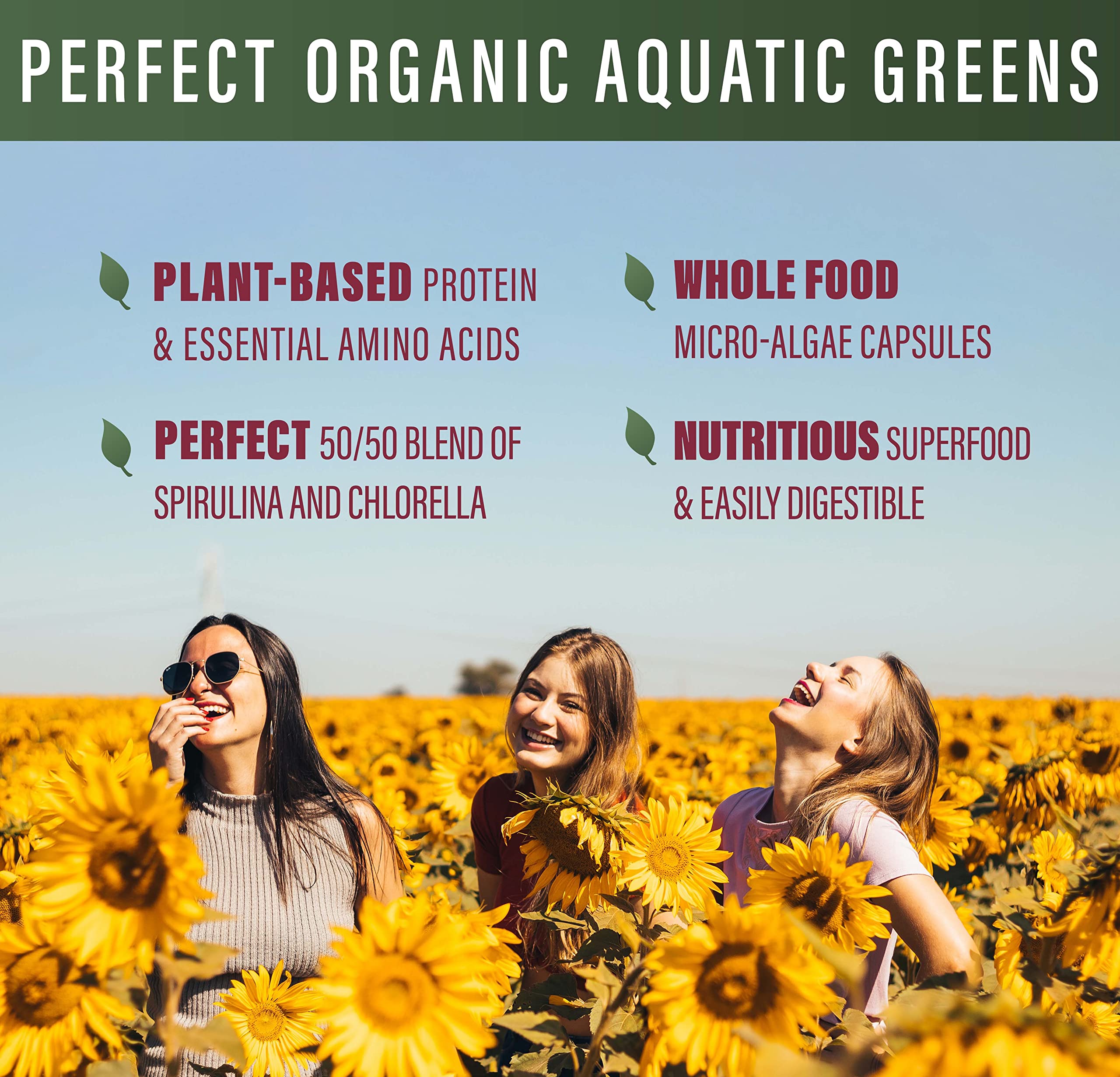Perfect Aquatic Greens capsules closeup showing a 50/50 spirulina and chlorella blend.