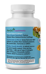 Perfect Supplements Perfect Type II Collagen capsules ready for daily use.