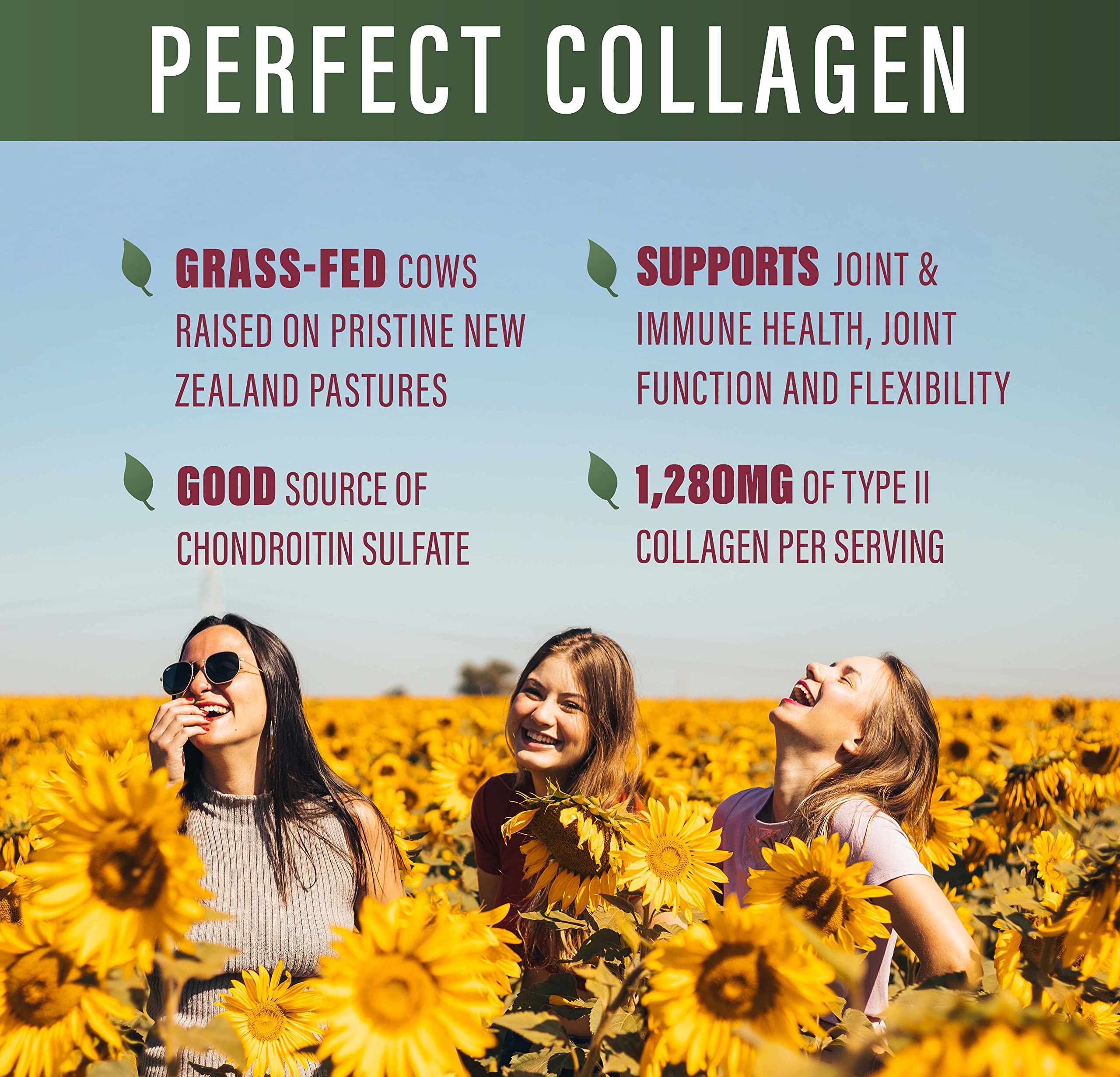Perfect Supplements Perfect Type II Collagen packaging on shelf signals natural, pasture-raised quality.