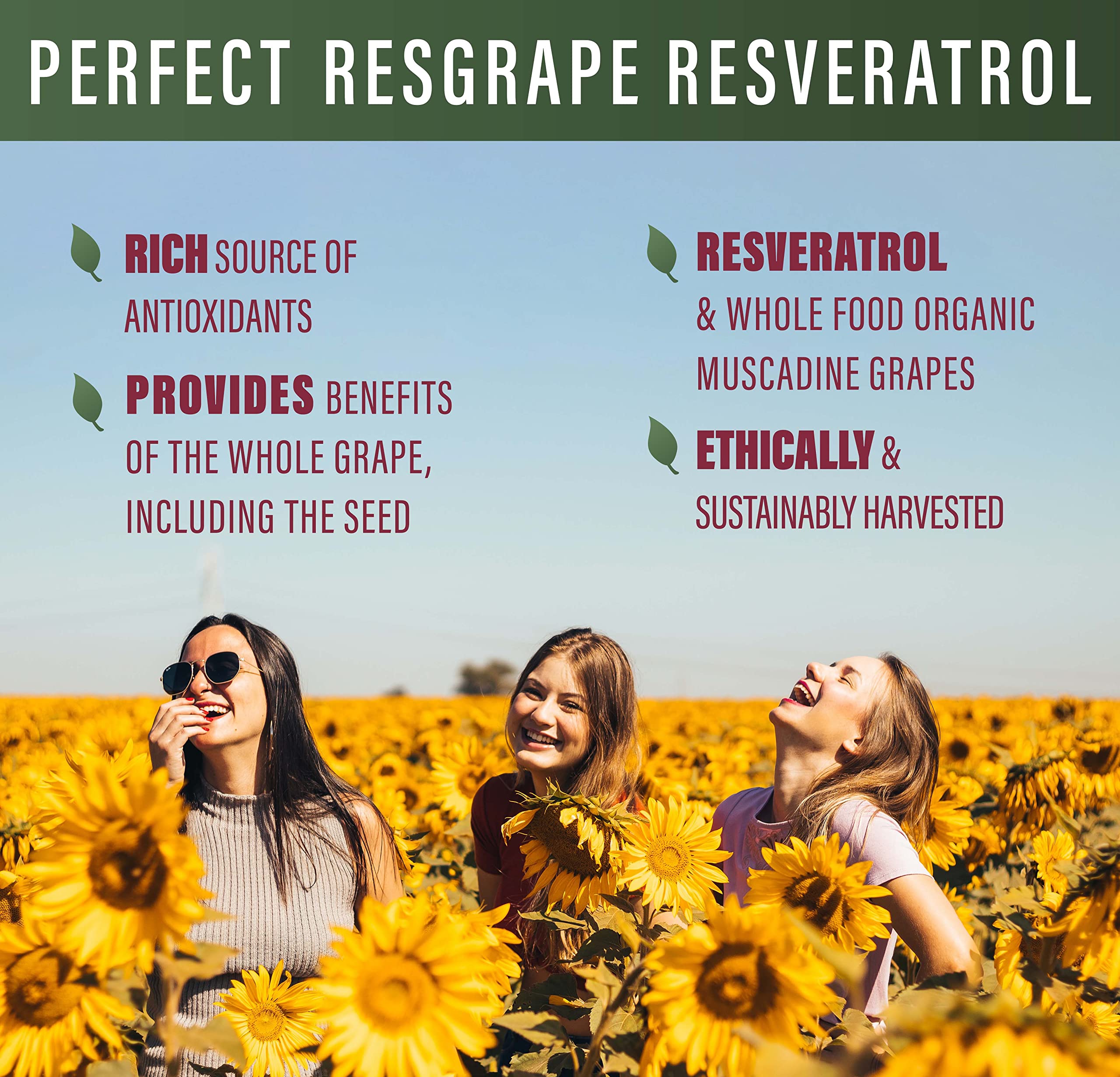 Perfect Supplements ResGrape capsule closeup on a clean vegan formula.
