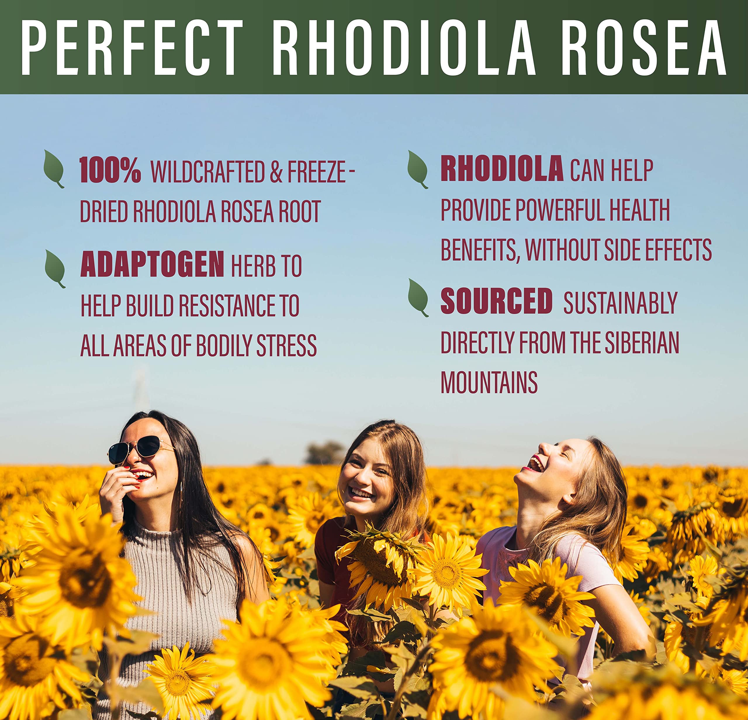 Perfect Supplements Rhodiola Rosea capsules closeup emphasizing energy and focus potential.