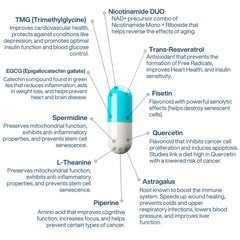 PERPETUA.LIFE AEON capsules in hand illustrate travel-friendly, gluten-free supplementation.
