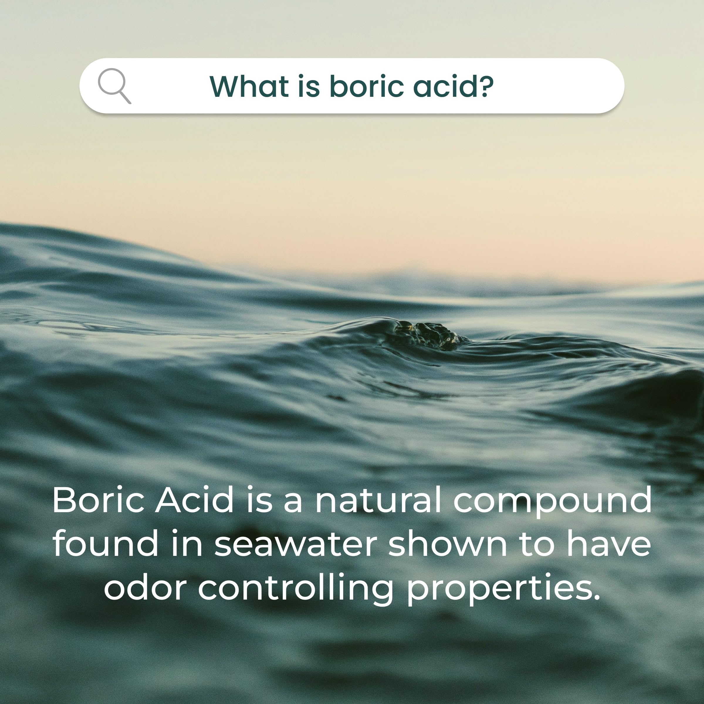 pH-D boric acid suppositories closeup showing 600 mg per unit