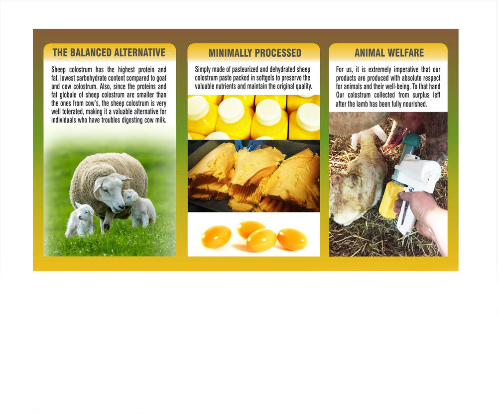 PHARMAKON Softgels with sheep colostrum dispensed for easy daily use