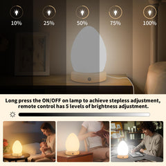 Phylosal lamp with five brightness levels for different tasks