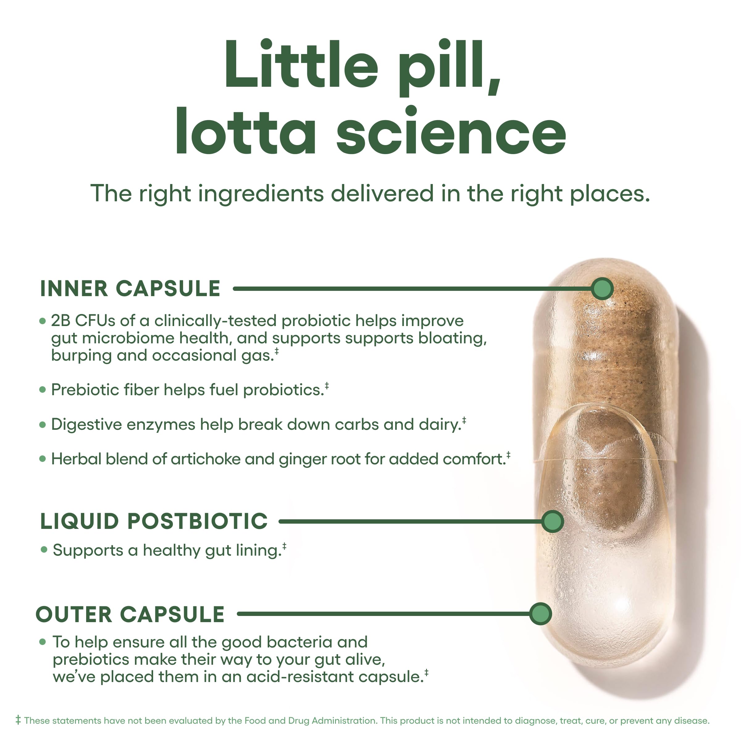 Digestive enzymes capsule aiding digestion of hard-to-digest foods.