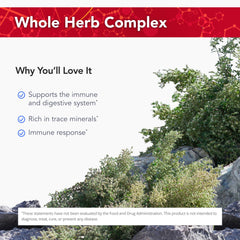 Physician's Strength Wild Oregano-Plus capsules arranged for daily use.