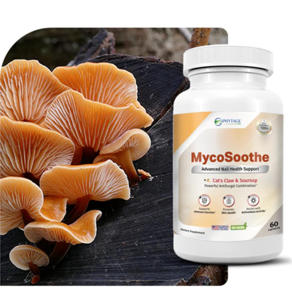Phytage Labs MycoSoothe bottle back with usage guidelines for daily wellness