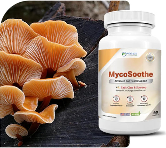 Phytage Labs MycoSoothe capsules ready for daily use supporting nail aesthetics.