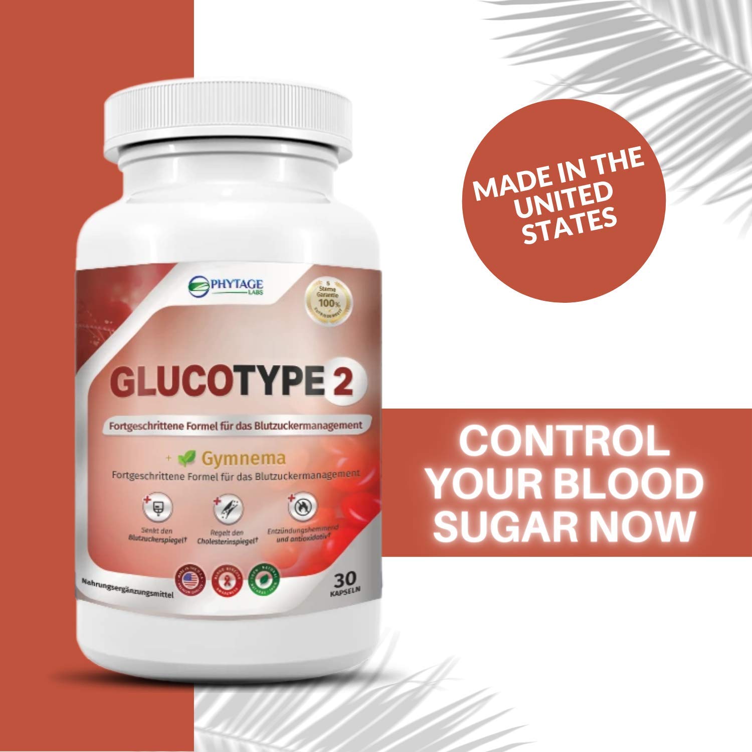 Phytage Labs superfood extracts powder highlights a nutrient-dense formula