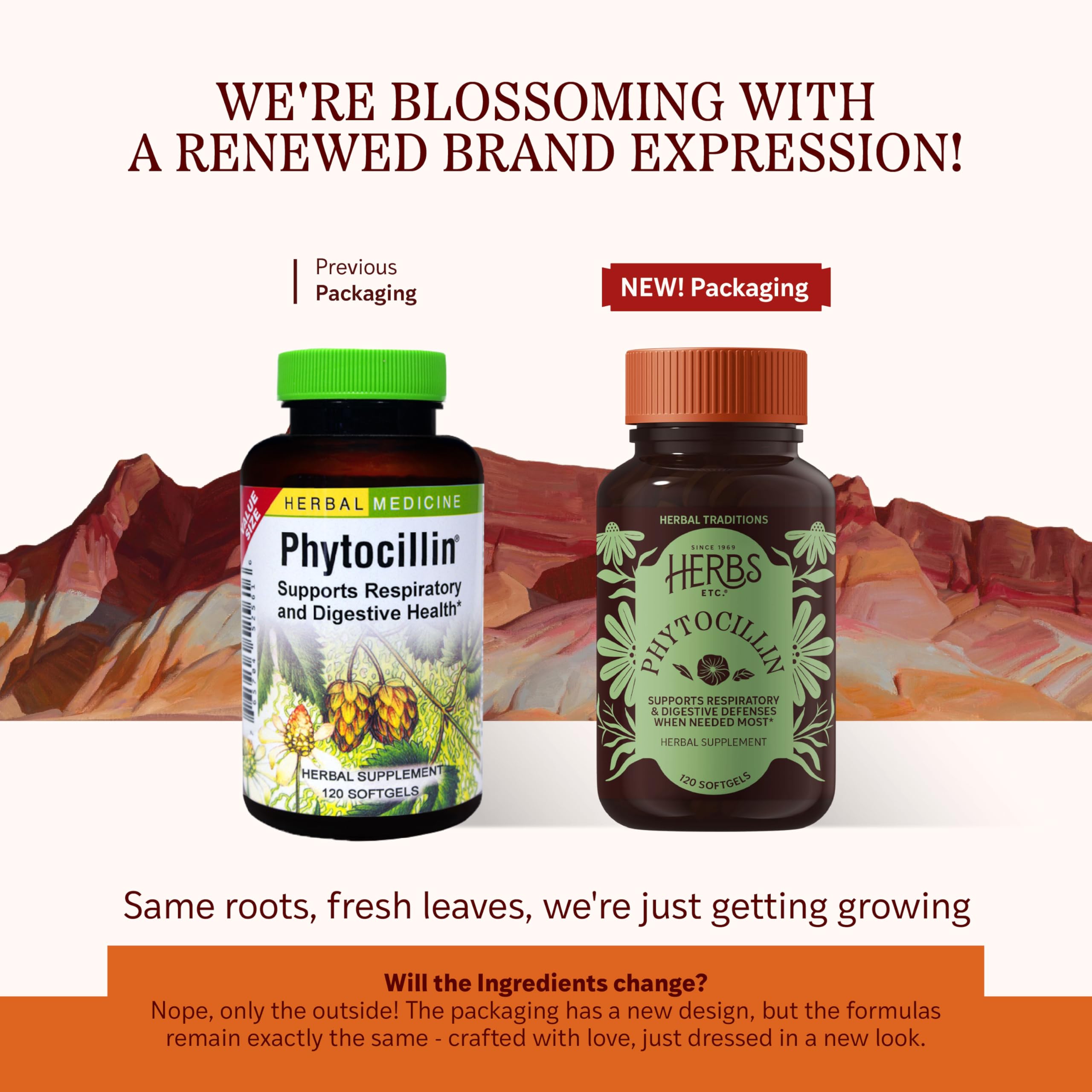 Phytocillin softgels close-up highlighting convenient daily supplementation.