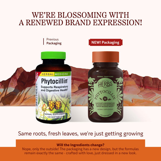 Phytocillin softgels close-up highlighting convenient daily supplementation.