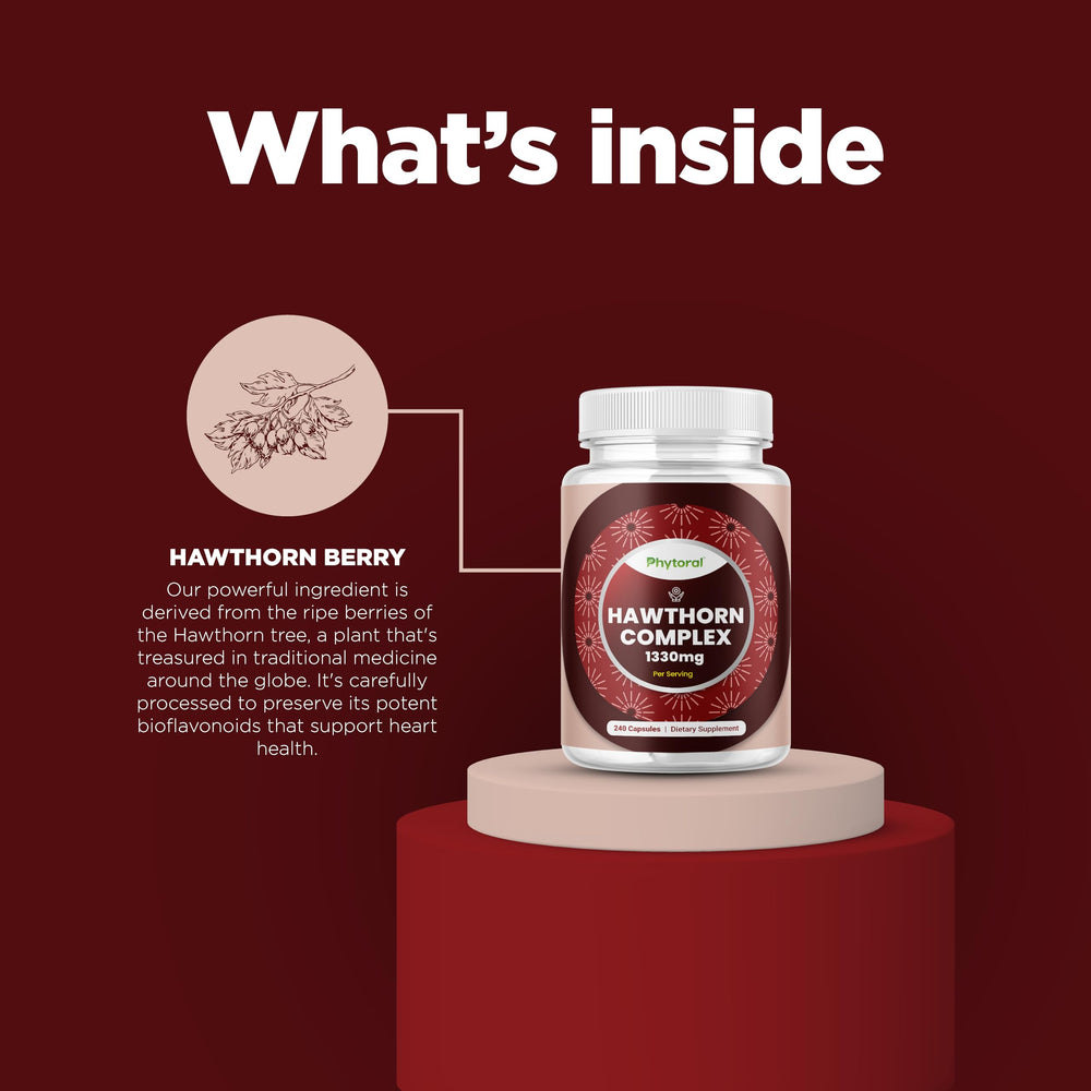 Phytoral cardiovascular-health illustration communicates overall circulatory support possibilities