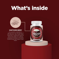 Phytoral cardiovascular-health illustration communicates overall circulatory support possibilities