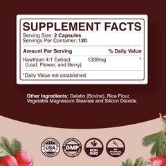 Phytoral 4to1 hawthorn extract visual emphasizes concentrated heart-friendly phytonutrients