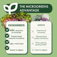 PICK'D POWDERS Sunflower powder showcases phytonutrients and prebiotic-friendly nutrition.