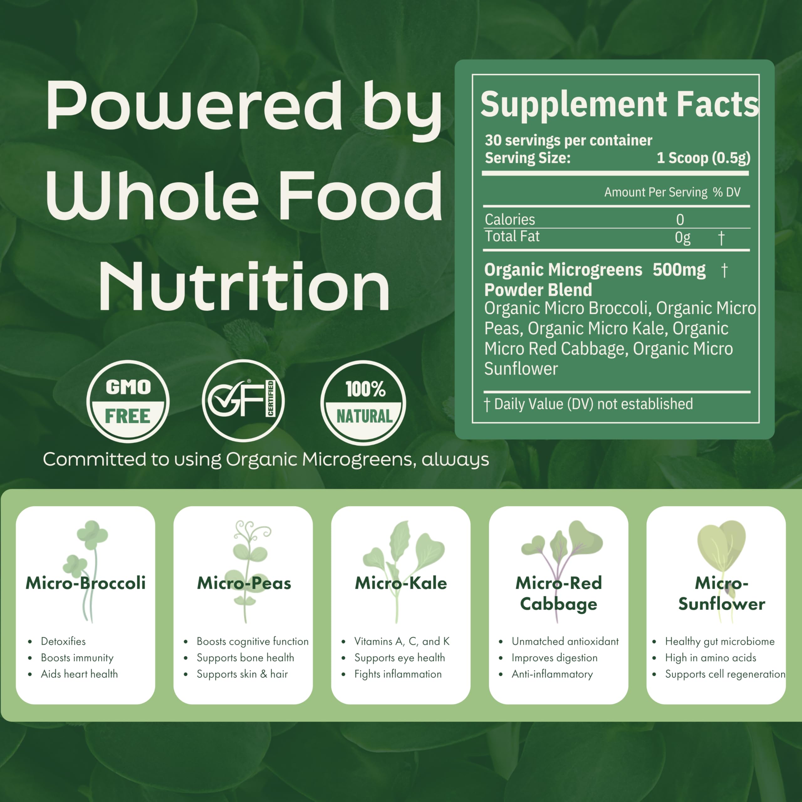 PICKD POWERS microgreens powder blending into smoothie for daily vitality