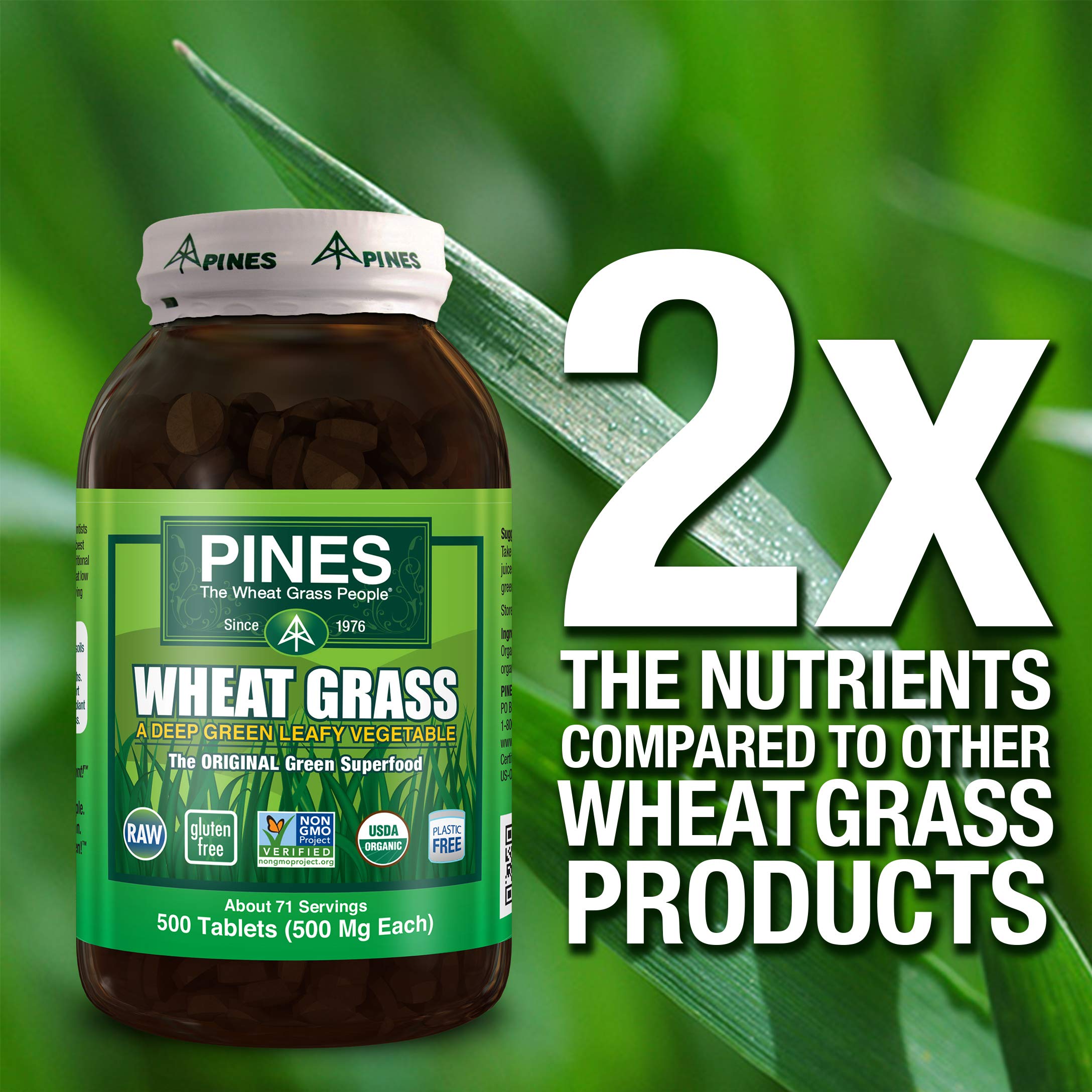 Pines Wheat Grass Tablets in a glass of water ready for greens.