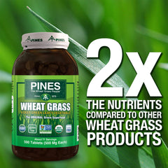 Pines Wheat Grass Tablets in a glass of water ready for greens.