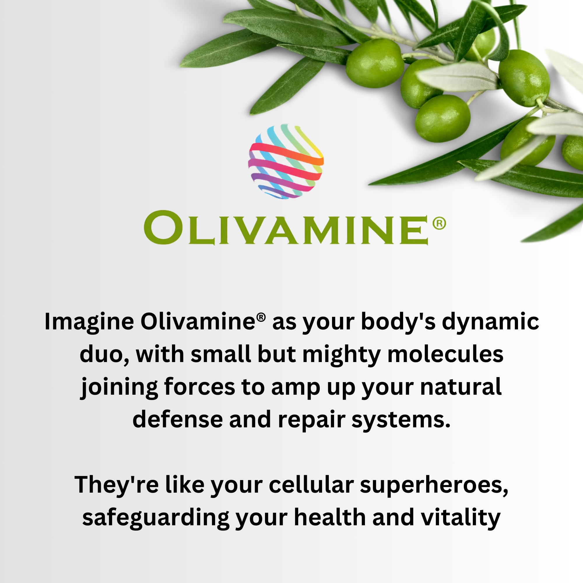 Pinnaclife Olivamine ingredient graphic emphasizes antioxidants supporting digestion.