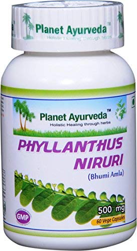 Planet Ayurveda Phyllanthus Niruri bottle—pure herbal capsules for daily wellness.