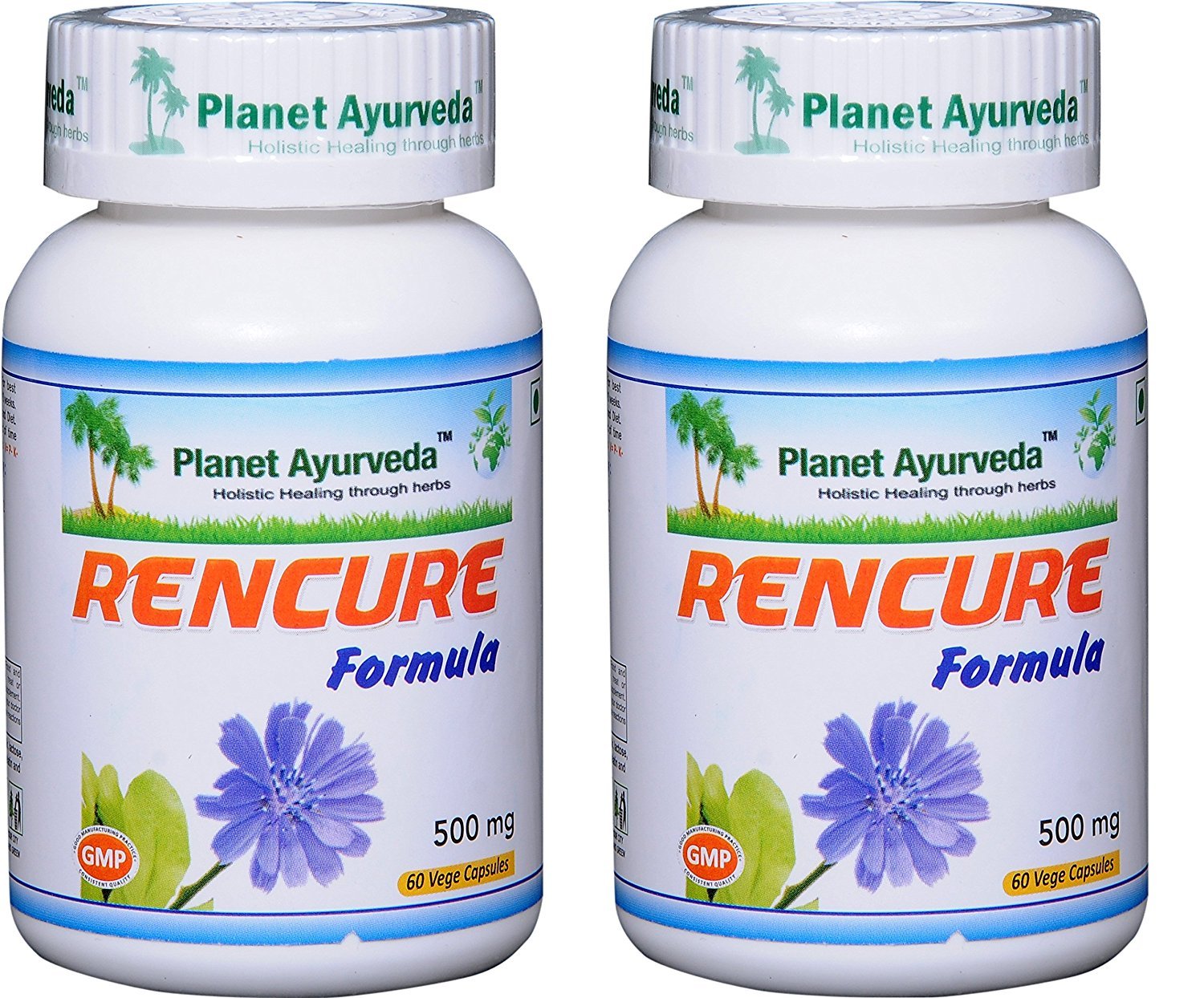 Planet Ayurveda Rencure Formula bottle supports daily general well-being.