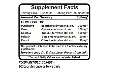 Planet Ayurveda Rencure Formula label with herbal blend details at a glance.