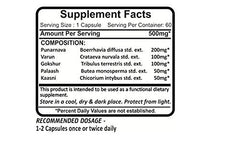 Planet Ayurveda Rencure Formula label with herbal blend details at a glance.
