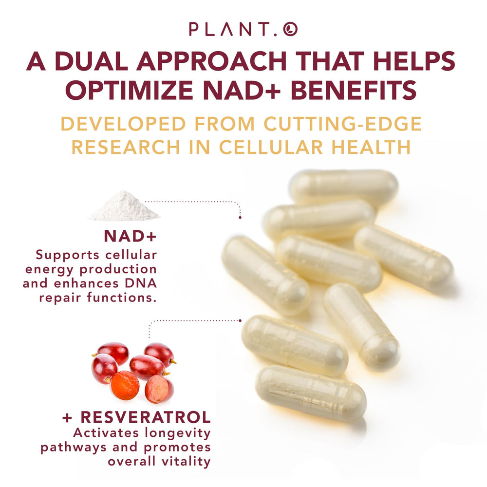 PLANT.O NUTRITION capsules being poured for daily use.