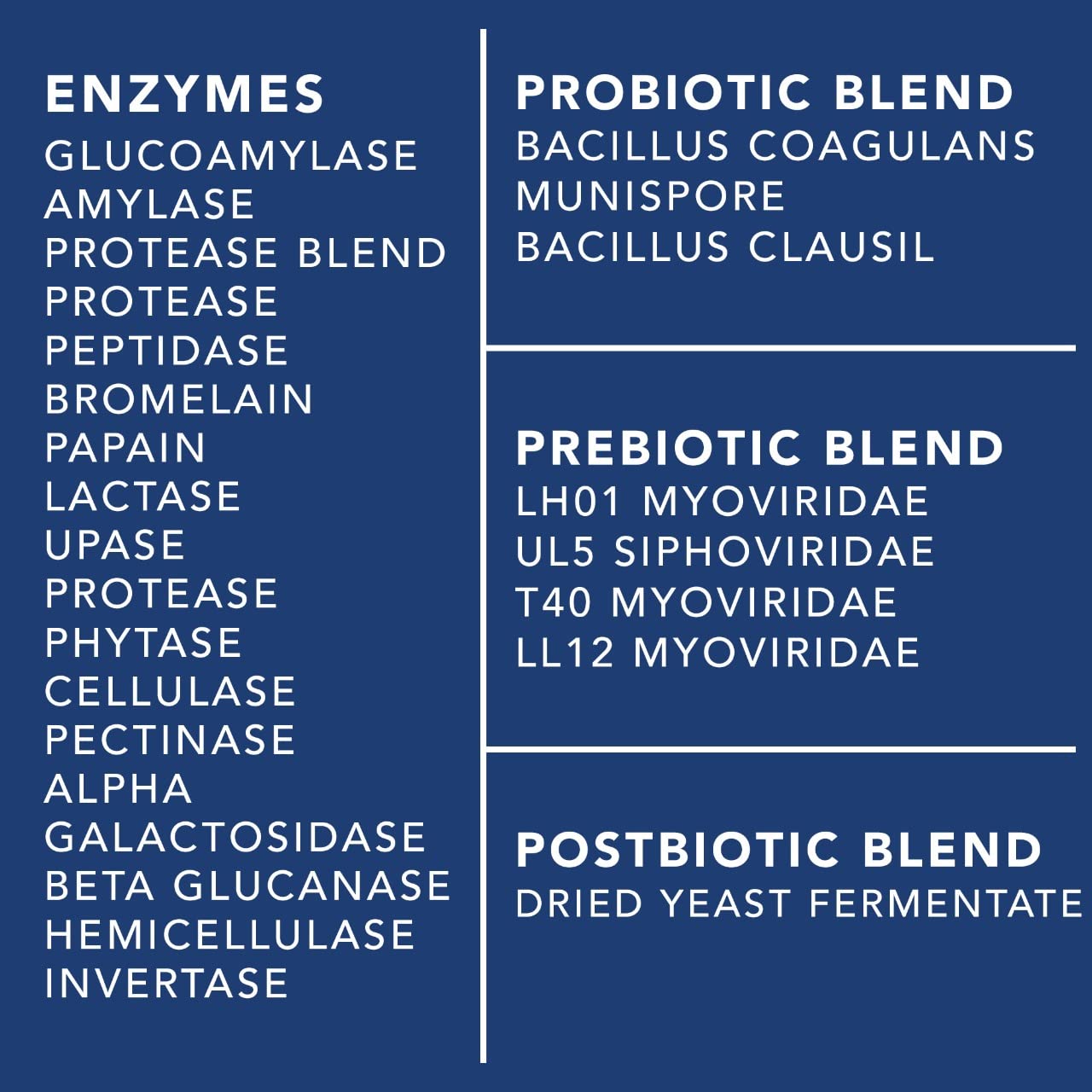 Plant.O Nutrition complete gut support displayed for daily wellness.