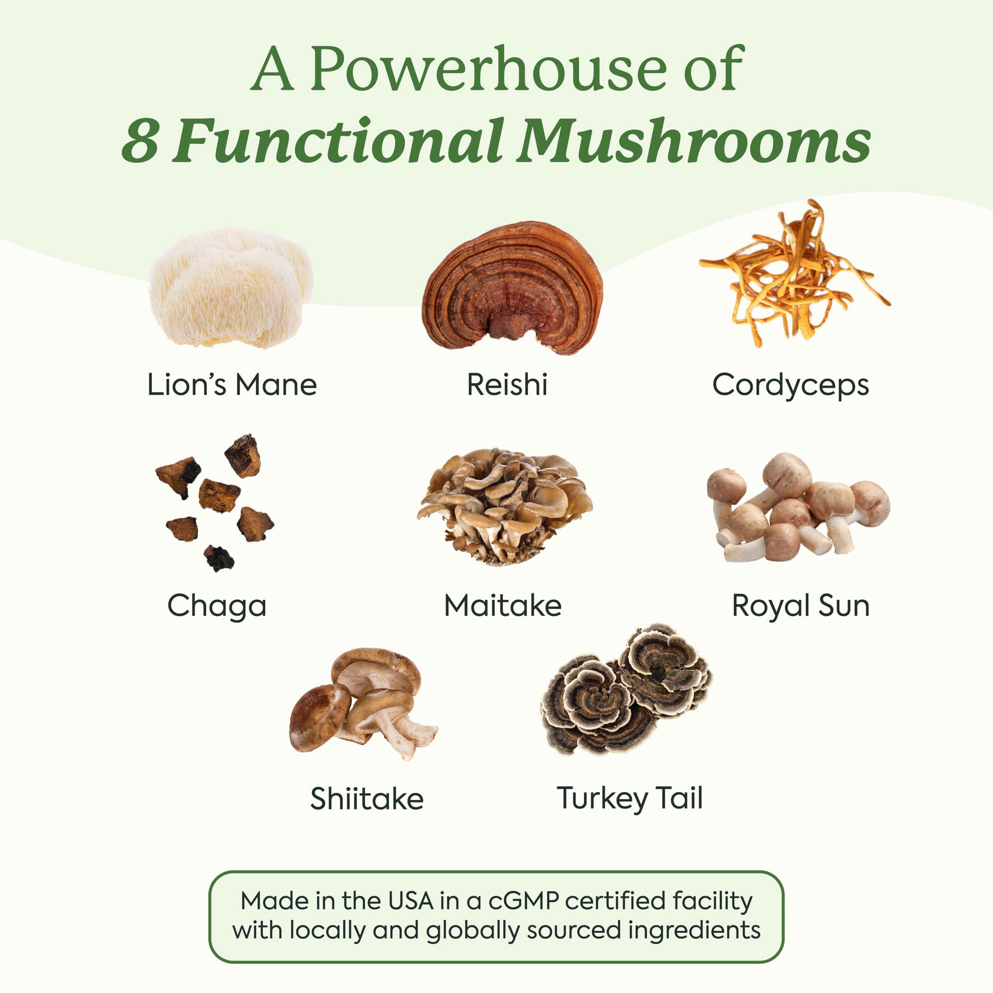 Ingredient scene with mushrooms used in WonderDay for balanced daily support.