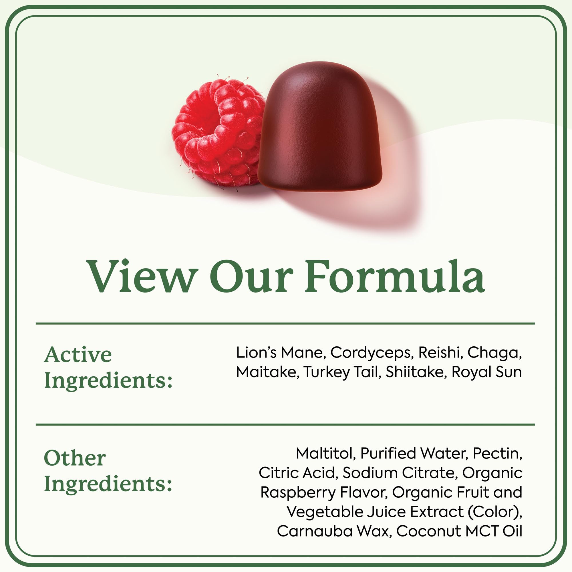 Plant People WonderDay label closeup emphasizes vegan non-GMO formulation