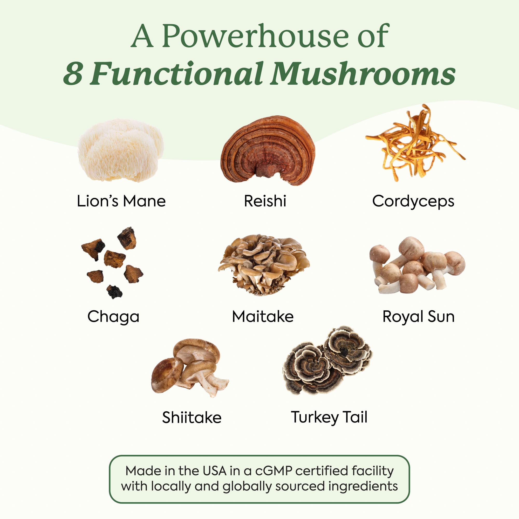 Plant People WonderDay chaga jar highlights immune balance and gut comfort possibilities