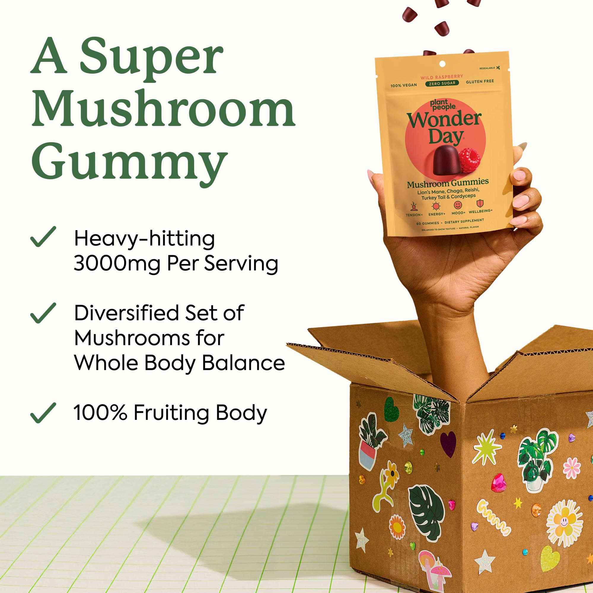 Plant People WonderDay cordyceps pouch suggests energy support and stress relief potential