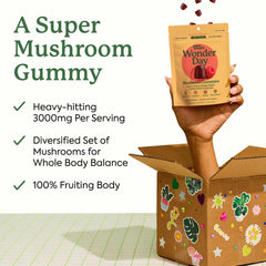 Plant People WonderDay cordyceps pouch suggests energy support and stress relief potential