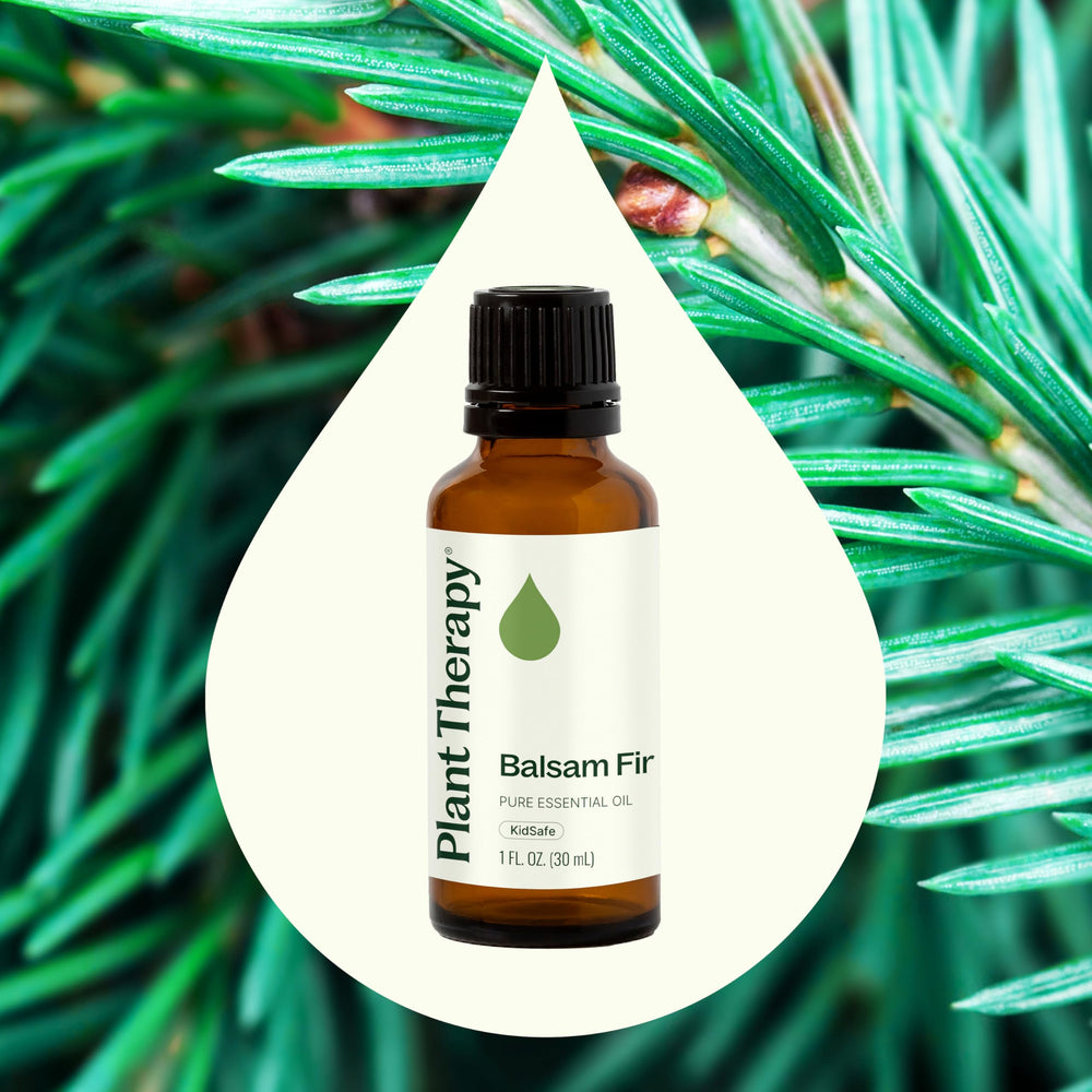 Plant Therapy Balsam Fir diffuser ready for relaxing forest-inspired scent