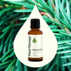 Plant Therapy Balsam Fir diffuser ready for relaxing forest-inspired scent