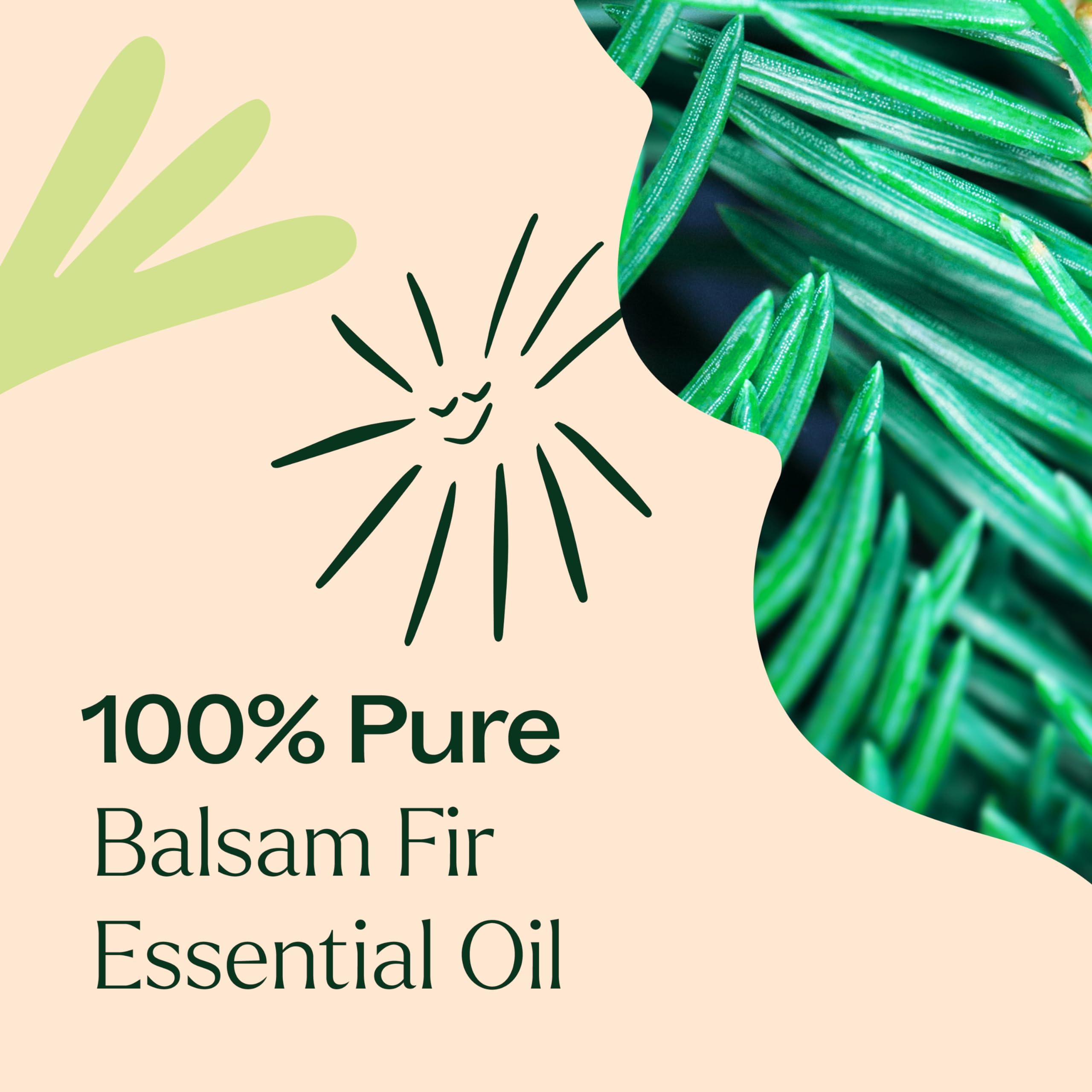 Plant Therapy Balsam Fir GC-MS lab documents indicating batch quality and transparency