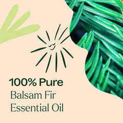 Plant Therapy Balsam Fir GC-MS lab documents indicating batch quality and transparency